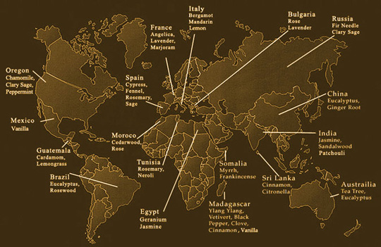 Carte du monde des senteurs
