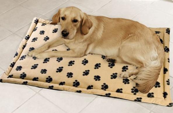 Tapis antipoils