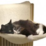 Un lit de radiateur pour chat