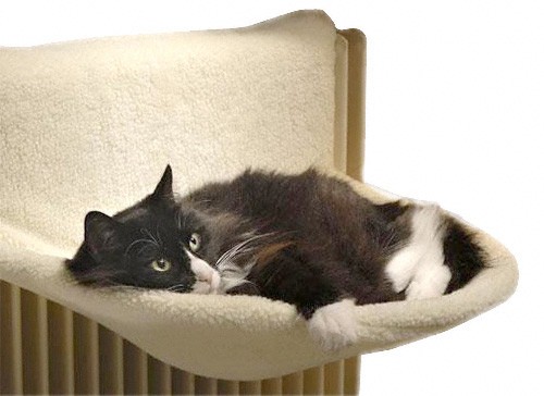 Un lit de radiateur pour chat