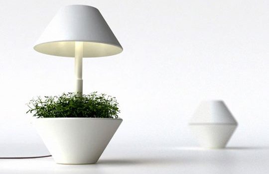 Lightpot sur monpetitappart