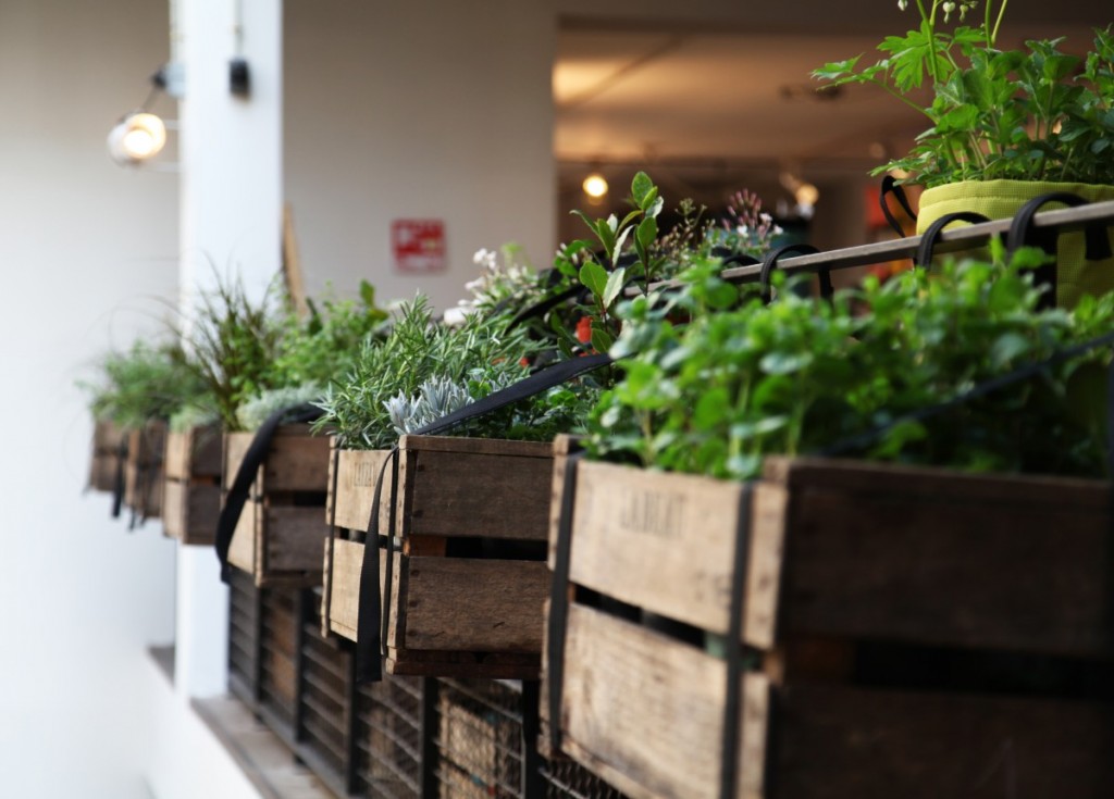 jardin sur balcon