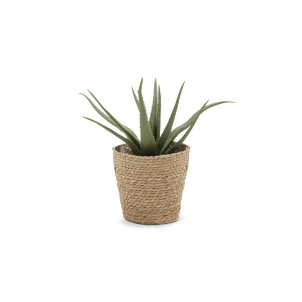 Plante artificielle avec pot Aloe Vera 43 cm